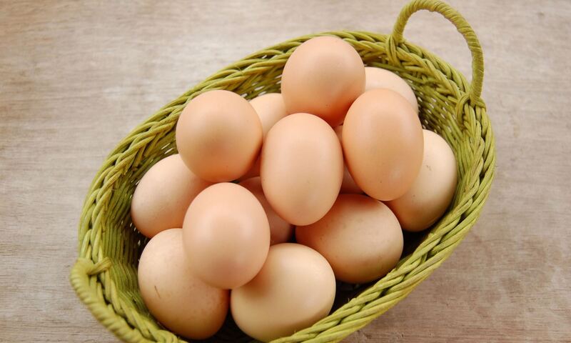 Cách bảo quản trứng gà để ấp để gia tăng tỷ lệ nở trứng